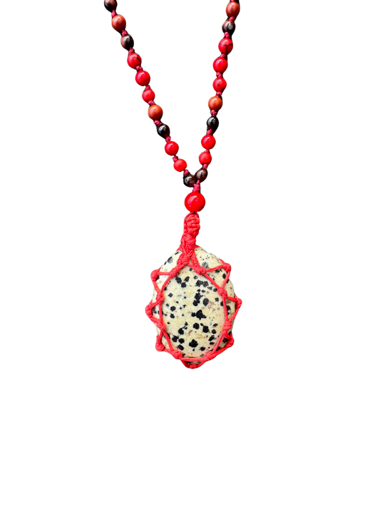 JASPE DALMATIEN