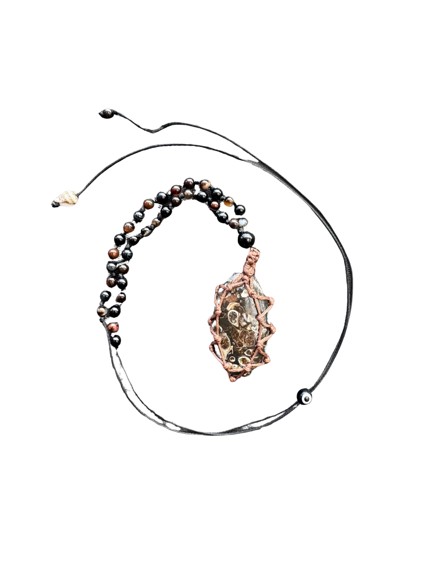 Agate turitelle