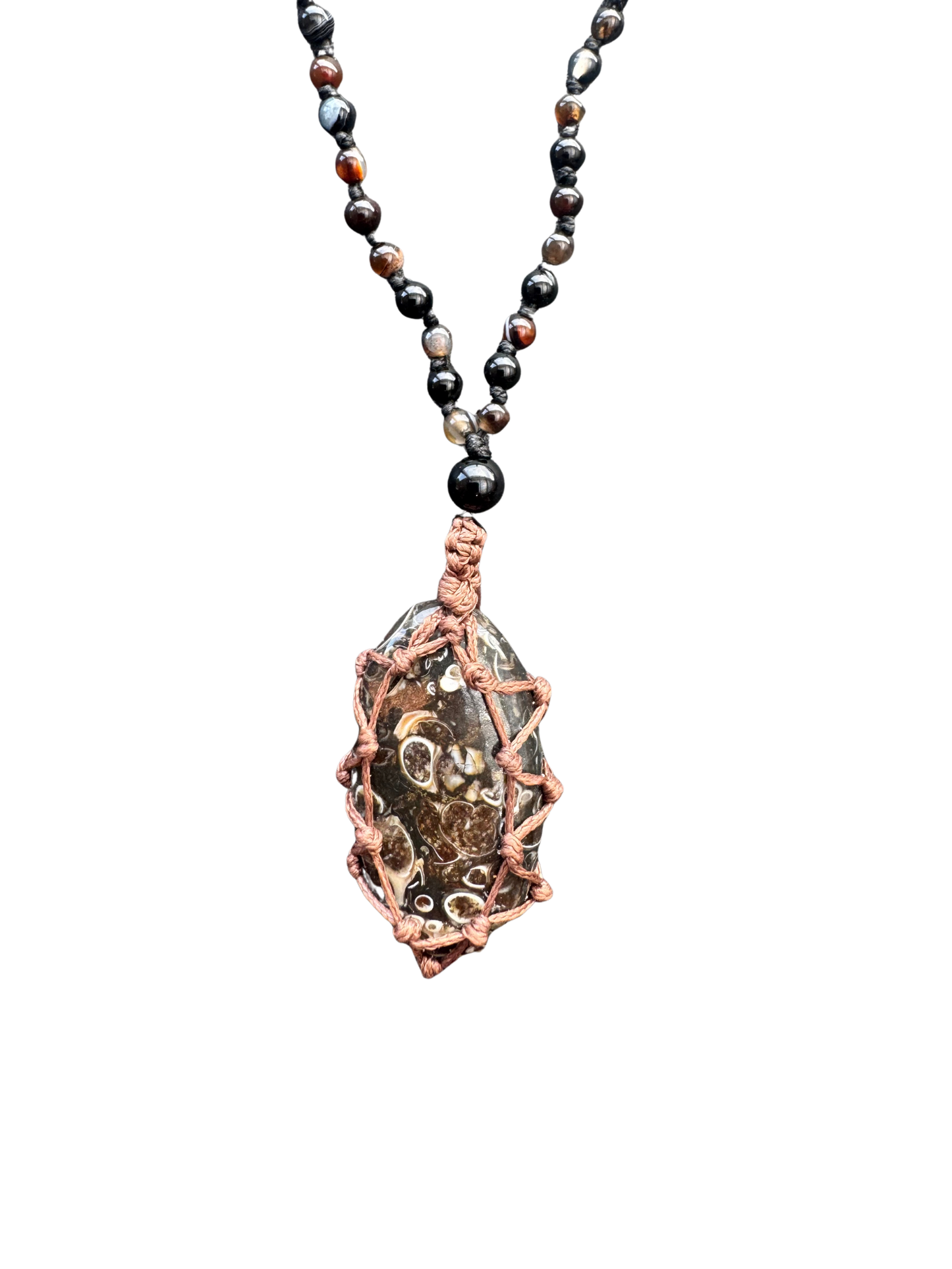 Agate turitelle