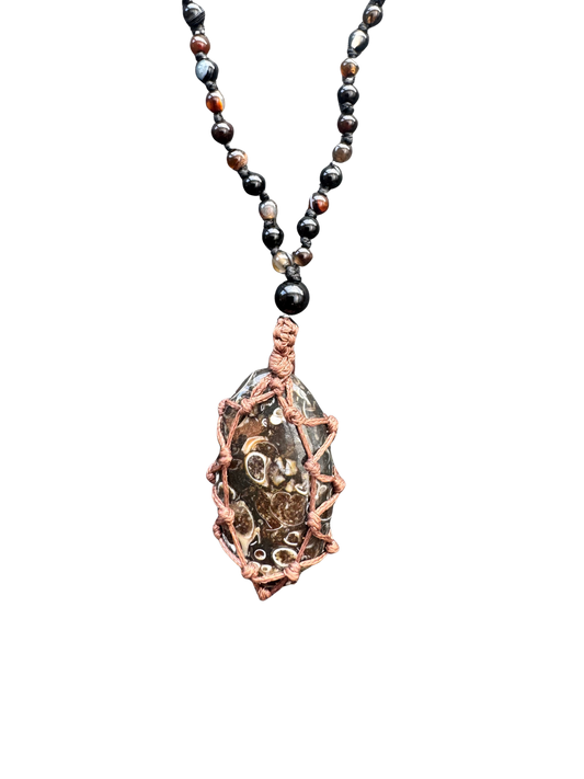 Agate turitelle